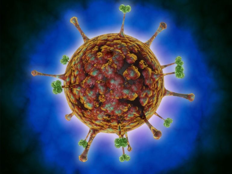 Microscopic view of Henipavirus. Henipavirus is a established group of paramyxoviruses comprising the Hendra virus, Nipah virus and Cedar virus, which can cause severe encephalitis in humans and animals.