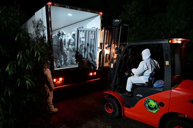 A worker operates a forklift as giant pandas Xiao Xiao and Lei Lei arrive from Japan at Bifengxia Panda Base in Yaan, Sichuan province, China January 28, 2026. China Daily via REUTERS ATTENTION EDITORS - THIS PICTURE WAS PROVIDED BY A THIRD PARTY. CHINA OUT. NO COMMERCIAL OR EDITORIAL SALES IN CHINA.