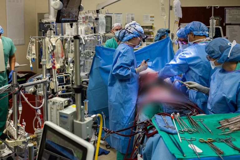 Surgeons removed a patient’s infected lungs. An artificial-lung system kept him alive. Credit: Northwestern Medicine