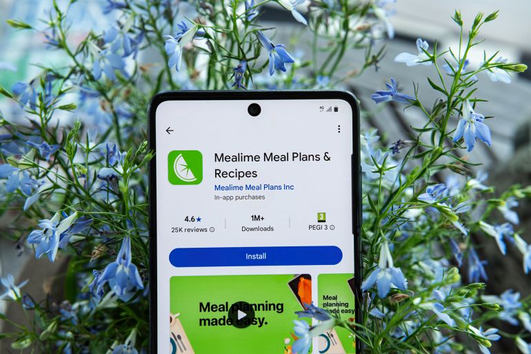 Linkoping, Ostergötland, Sweden. 06-25-2025. Smartphone with the Mealime Meal Plans And Recipes application on it.; Shutterstock ID 2646174833; purchase_order: aj; job: ; client: ; other: