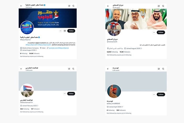 أبرز الحسابات التي أدارت الحملة الرقمية ضد رئيس المجلس الرئاسي اليمني