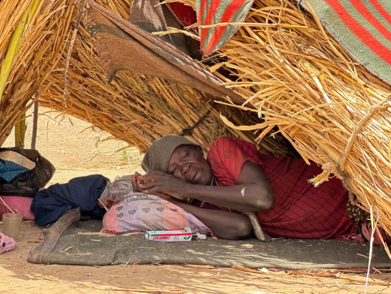 12988894-2-1772475647