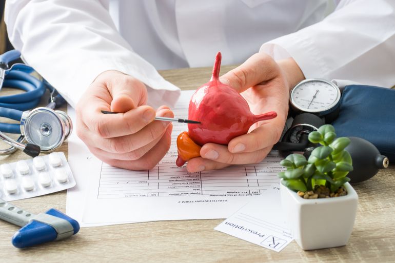 At doctors appointment physician shows to patient shape of urine bladder with focus on hand with organ. Scene explaining patient causes and localization by shidlovski @ادوبي ستوك