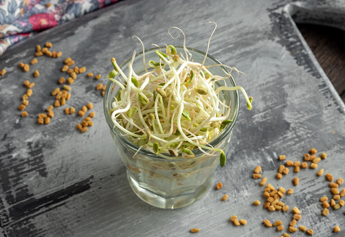 d8add984d8a8d8a9-d985d986d8a8d8aad8a9-1774100091 Fenugreek sprouts in a glass on a table