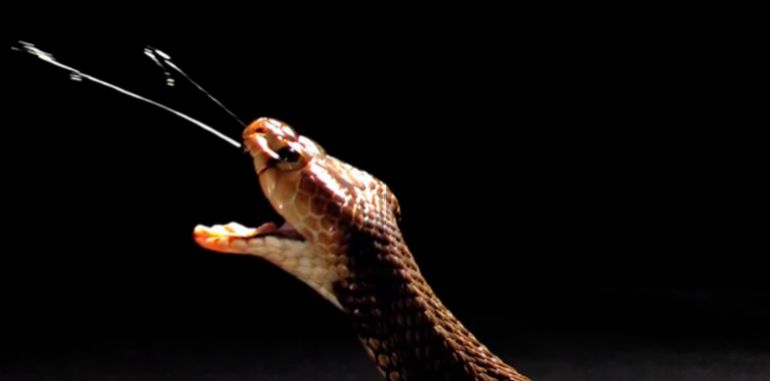 d8b3d985d988d985-d8a7d984d983d988d8a8d8b1d8a7-1