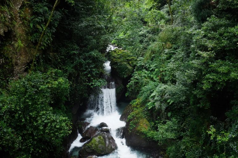 أوميشان - الصين