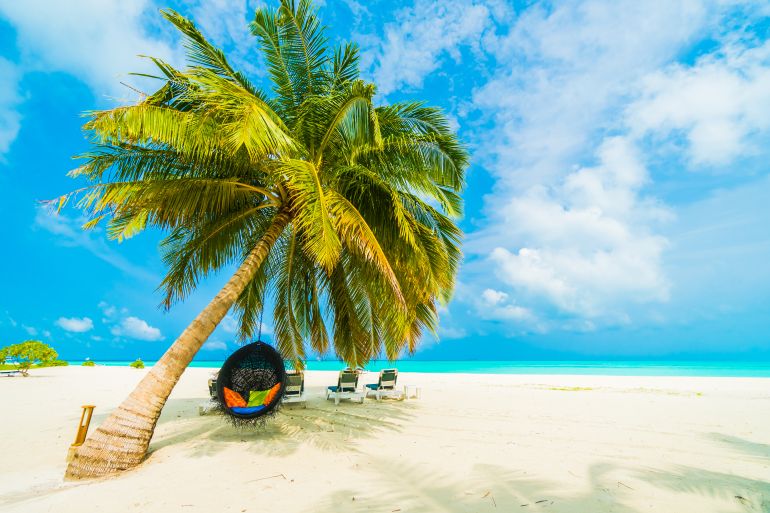 Beautiful tropical beach and sea with coconut palm tree on blue sky in Maldives island - Boost up color Processing