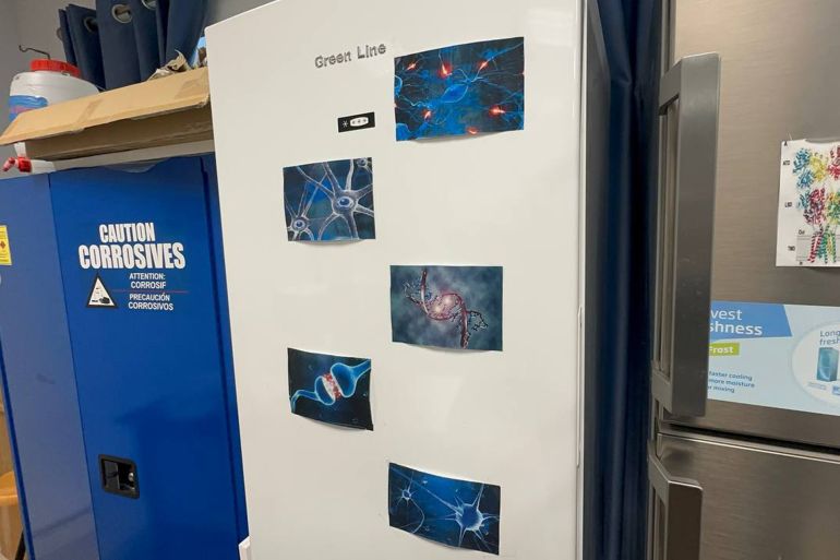 / فاطمة محمود الجزيرة نت نابلس فلسطين جامعة النجاح الوطنية / تتركز الأبحاث في المركز حول نوع واحد من الخلايا ودراسة كل خلية على حدى ما يعطي نتائج أكثر دقة وتركيز