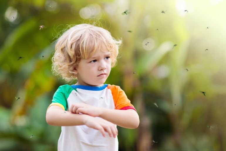 أول موافقة على علاج جديد للملاريا للأطفال Mosquito on kids skin. Little boy attacked by mosquitoes in tropical forest. Insect repellent. Malaria and dengue fever prevention. Child scratching itchy bite in summer park. غيتي