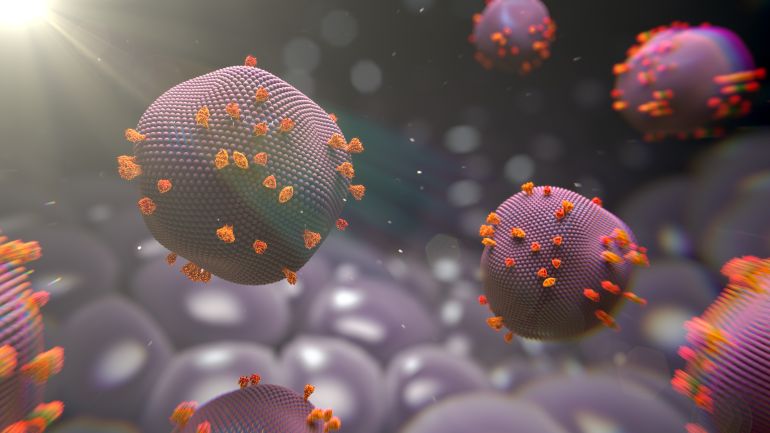 Illustration of measles virus particles, a highly contagious pathogen responsible for measles infections