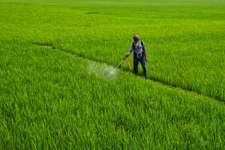 Man Working on a Field