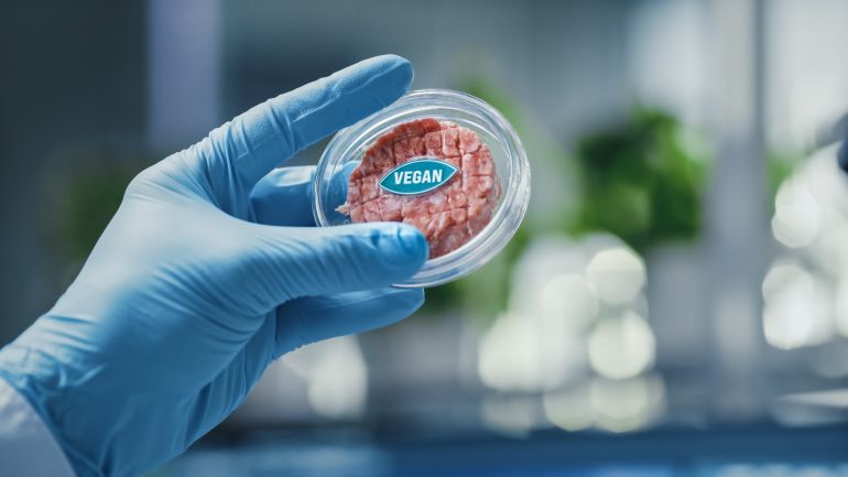 Close up Shot of a Lab-Grown Cultured Vegan Meat Sample Held by the Scientist in Blue Glove. Medical ...