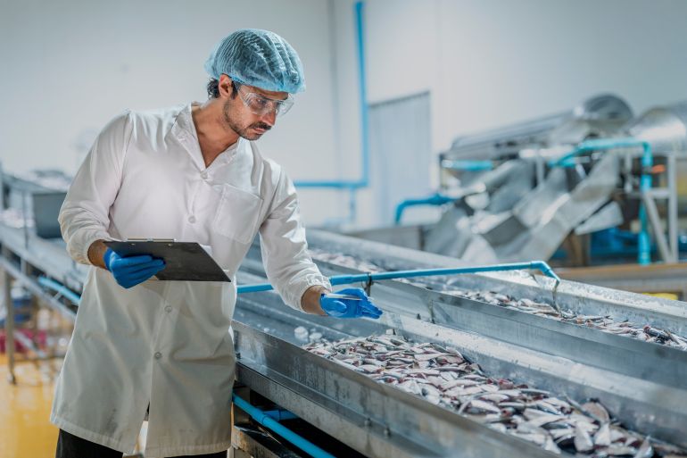 scientist Technician conducting quality checks on a fish seafood production line Emphasis on hygiene food safety and precision in modern industrial workflows factory.