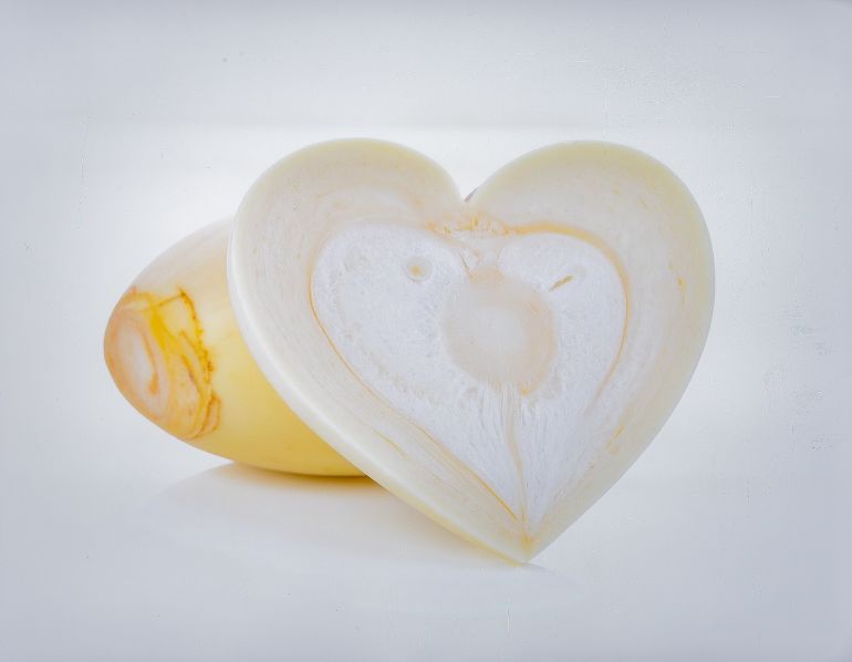 Fresh Heart of Palm Isolated on White Background, Tender White Vegetable from Palm Tree with Delicate Texture Concept