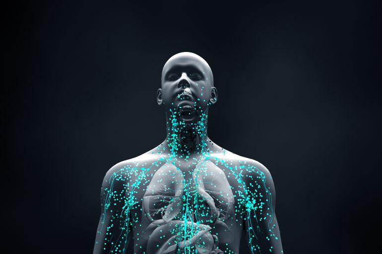Immune system defends the body against infections and diseases