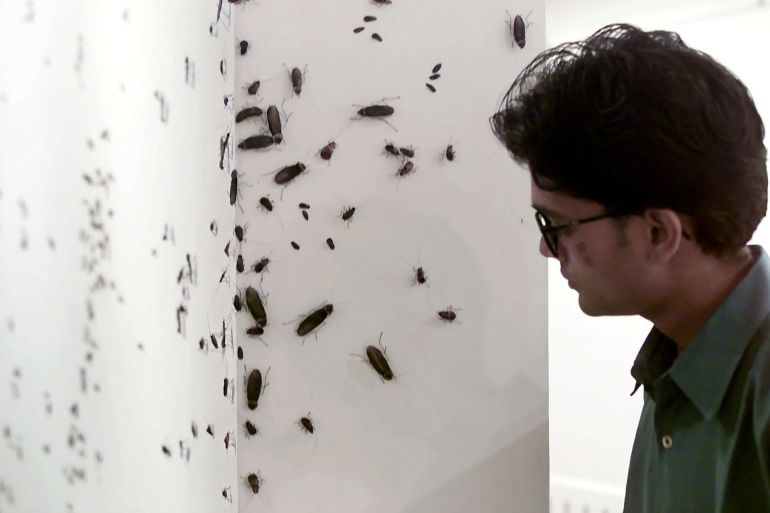 A visitor to an art gallery in Mumbai looks at an award-winning installation depicting thousands of cockroaches crawling on the floor and wall. Indian artist, Hema Upadhayay, who won an award from the government-run Lalit Kala Academy for her work, used synthetic material to create the cockroaches, which she said are symbols of death, decay and ageing, April 24, 2001 [Savita Kirloskar/Reuters]