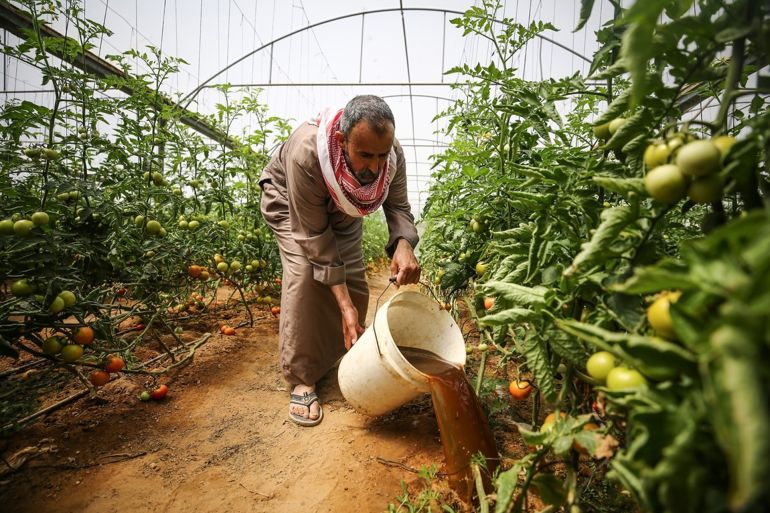 غزة.. استخراج "غاز الطهي" من بقايا الطعام وروث الحيوانات