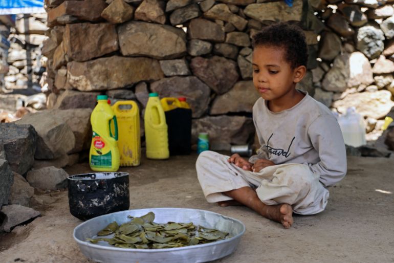 afp_6a13336525e5-1779643237 The grandchild of displaced Yemeni woman Saeedah Mohammed, waits to be fed by boiled tree leaves inside their makeshift tent in the Al-Manij displacement camp, near the city of Taez in Yemen's southwest, on May 21, 2026.