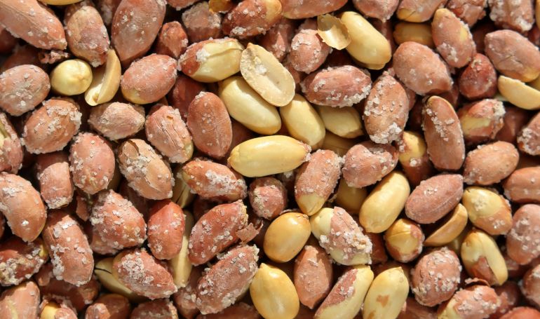 alfwl-1779002631 A detailed close-up photograph of salted peanuts with shells, showcasing texture.