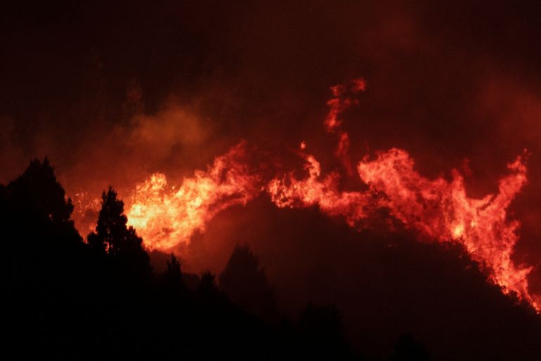 reuters_69a42d90-1772367248 Trees burn during wildfires in Epuyen, in the Patagonian province of Chubut, Argentina, February 1, 2026. REUTERS/Gonzalo Keogan TPX IMAGES OF THE DAY