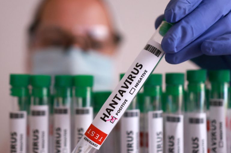 A test tube labelled "Hantavirus positive" is held in this illustration taken May 7, 2026. REUTERS/Dado Ruvic/Illustration