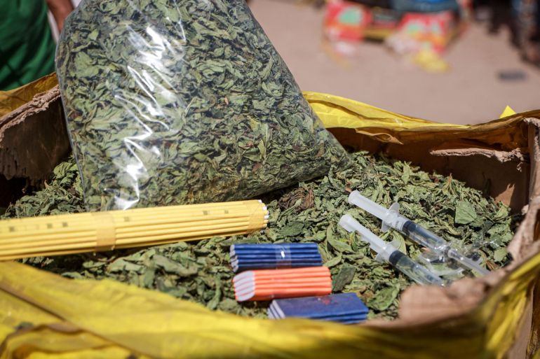 678cabfghh-1781343201 Molokhia cigarettes are made by drying and crushing leaves, then mixing them with nicotine for smoking