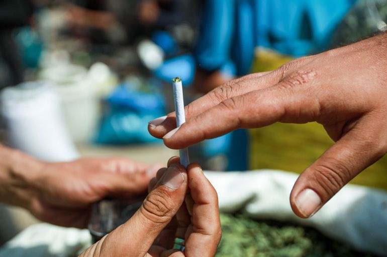 87987cabfh-1781343206 Doctors in Gaza warn that burning molokhia may be even more dangerous than traditional tobacco and could increase the risk of cancer