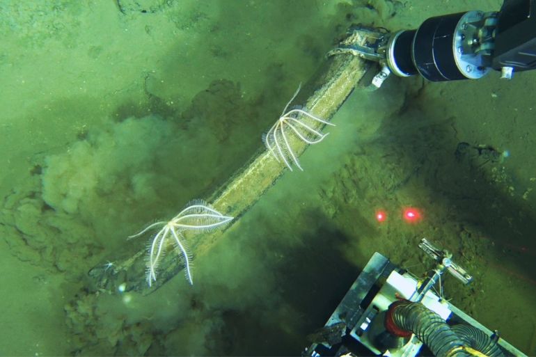 ap_6a2bc6f3d9d87-1781253875 This undated image provided by Peng Zhou shows a Chinese submersible recovering fossilized whale bones from the deep seafloor, southeastern Indian Ocean, in the Diamantina Fracture Zone. (Global TREnD, IDSSE via AP)