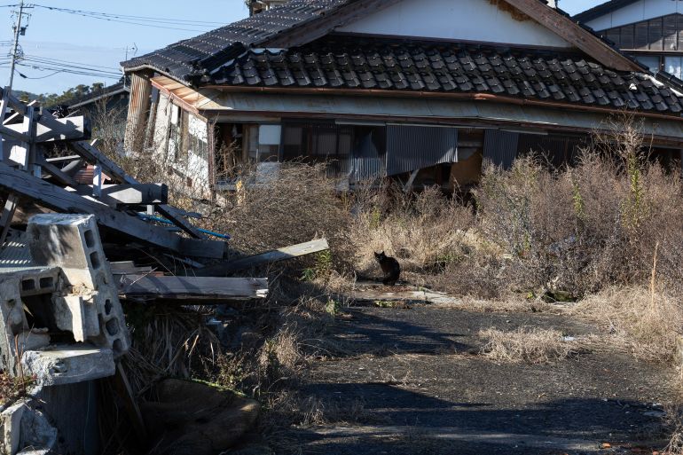 SUZU, JAPAN - JANUARY 01: An abandoned cat is seen in front of a damaged house caused by Noto Peninsula earthquake and tsunami on New Year’s Day on January 01, 2025 in Suzu, Japan. On January 1, 2024, a powerful 7.5 magnitude earthquake struck Japan's Noto Peninsula, resulting in significant destruction, over 280 fatalities, and damage to more than 83,000 homes. The earthquake was characterized by a rare "dual-initiation mechanism," where seismic activity began almost simultaneously at two points on the fault, leading to intense ground shaking and a series of aftershocks that complicated recovery efforts. (Photo by Buddhika Weerasinghe/Getty Images)