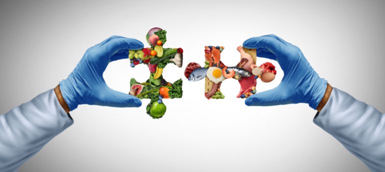 Balanced Diet Science and Nutrition sciences with two main Food groups as a nutritionist or scientist with nutrients solving a puzzle and caloric intake as a dietary health concept for wellness.