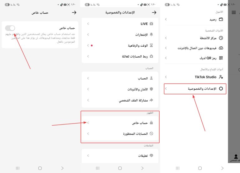 منصة تيك توك تمنح القاصرين خيارا لجعل حساباتهم خاصة (الجزيرة)