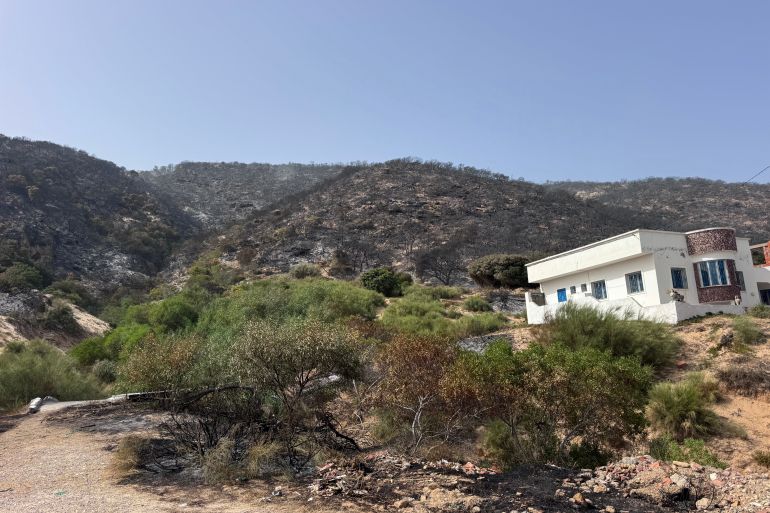 3fire-1784787613 وحدات الحماية المدنية قامت بوضع حزام حول المنازل لمنع تسلل النيران اليها ( خاص الجزيرة )