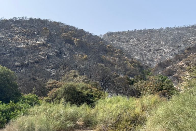 4fire-1784787618 تتميز المنطقة بطابعها الجمالي الذي يجمع بين الغابة و البحر وهي قبلة المصطافين ( خاص الجزيرة ).jpg
