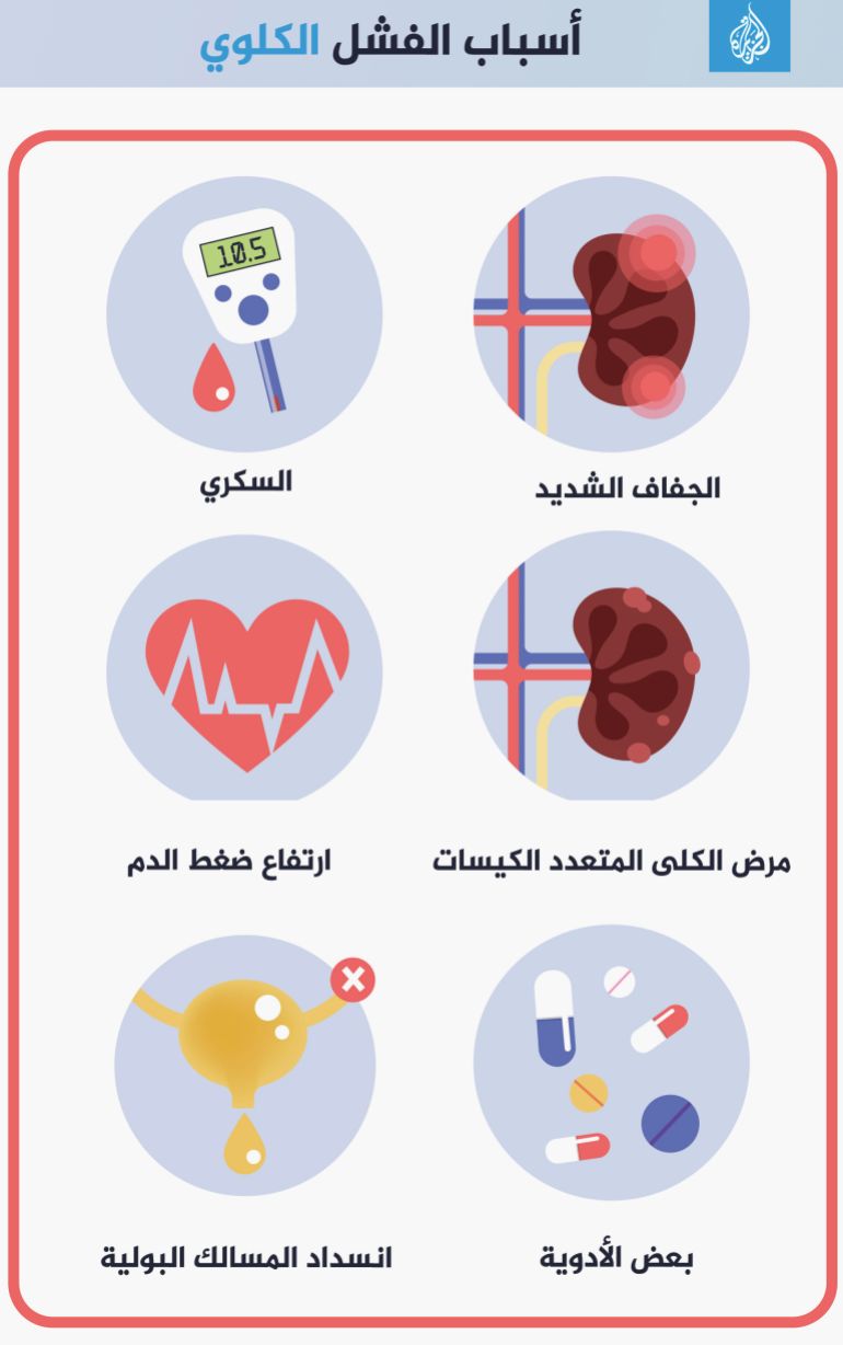 666666666 أسباب الفشل الكلوي غسيل الكلى الفشل الكلوي كلى kidney