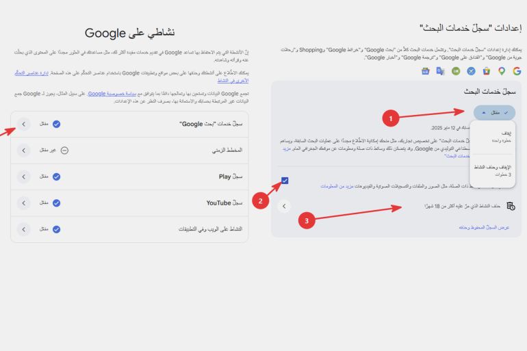 7878-1785331149 **داخلية** كيف تحمي بياناتك في جيميناي باستخدام إعداداته @اعدادات جوجل - google.com
