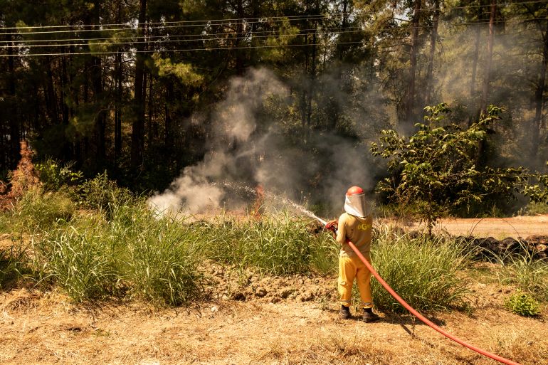 afp_6a6b9317633f-1785434903 A firefighter sprays water on a wildfire in the Seydikemer district of Muğla on July 30, 2026.