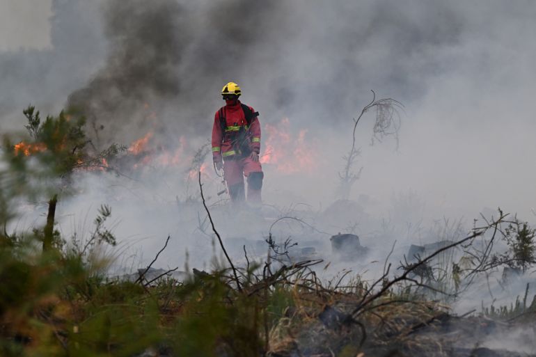 ap_6a663d3feab7a-1785085248 Firefighters battle a wildfire near Marcheprime, outside, Bordeaux, France, Sunday, July 26, 2026. (AP Photo/Emma Da Silva)