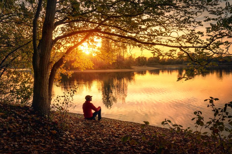 gettyimages-1688562896-1783028894 Man sitting under a tree and enjoying a tranquil beautiful sunset at a lake alone, with warm glowing colors