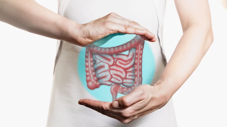 shutterstock_1642027291-copy قد يبدأ السرطان في جدار الأمعاء، ثم ينتقل إلى مجرى الدم، وصولا إلى الكبد