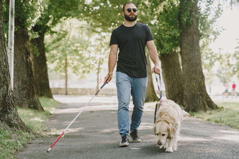 123-1782476875 Guide dog helping blind man in the city. Handsome blind guy have rest with gol المصرد فري بيك