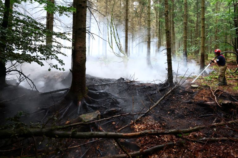 202ium-wildfire-1786975201 A Belgian firefighter extinguishes a wildfire in a forest in Waimes, Belgium, August 17, 2026. REUTERS/Yves Herman