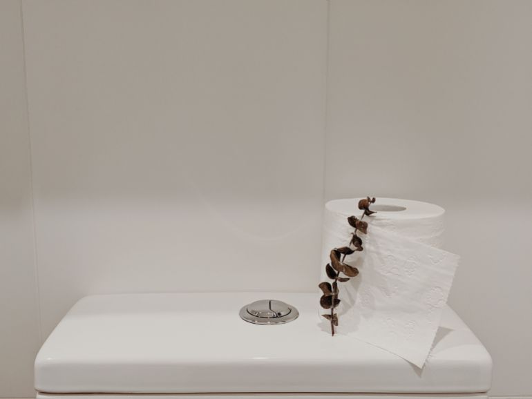 3963073-1786269845 A minimalist bathroom scene featuring toilet paper with eucalyptus on a white toilet tank.