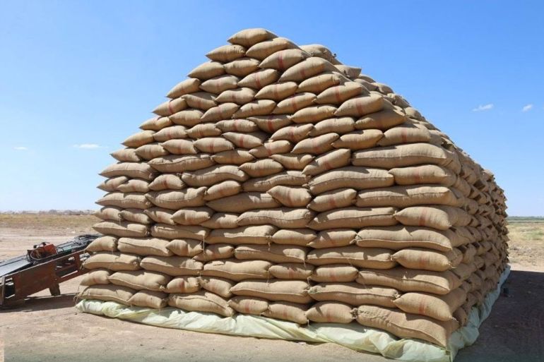 567567b-1786192445 المؤسسة العامة للحبوب @المؤسسة العامة للحبوب (على فيس بوك )