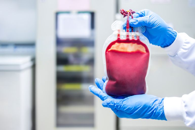 Leukocyte poor pack red cell in transfusion bag on a tray inside blood bank.Blank or empty space no label.Blood prepares for donation or therapy of anemia patients in hospital.Plastic bags with hand.