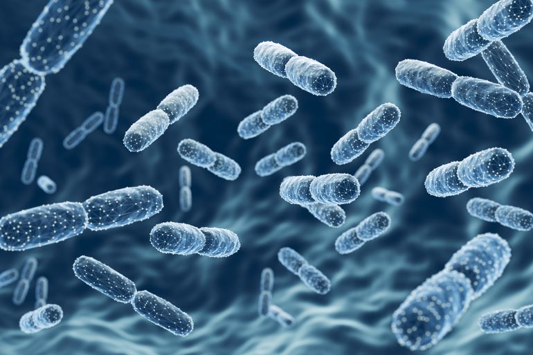 shutterstock_2472638627-1772633121 Probiotic bacteria, Lactobacillus , 3d illustration.; Shutterstock ID 2472638627; purchase_order: aj; job: ; client: ; other: