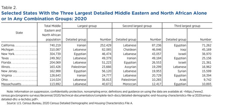 table-1786351748 ميشيغان واحدة من ثلاث ولايات تضم أكثر من 300 ألف شخص من أصول شرق أوسطية (مكتب الإحصاء الأمريكي).