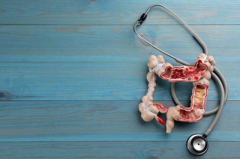 adobestock_442743018-1789719263 Human colon model and stethoscope on light blue wooden table, flat lay. Space for text المصدر AdobeStock
