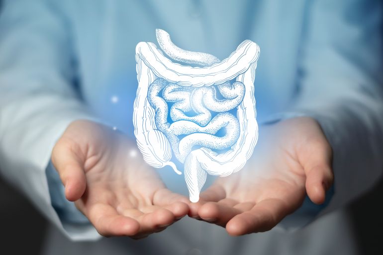 adobestock_455651486-1789719257 Intestine issues medical concept. Photo of female doctor, empty space. المصدر AdobeStock