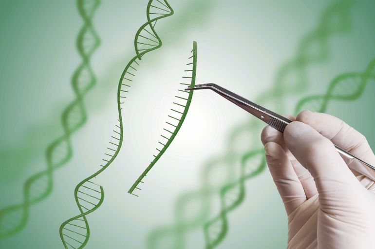 ap_6aa42410e5356-1789142032 Syngenta opens rights to genome-editing and breeding technologies to boost agricultural innovation (Photo: Business Wire)