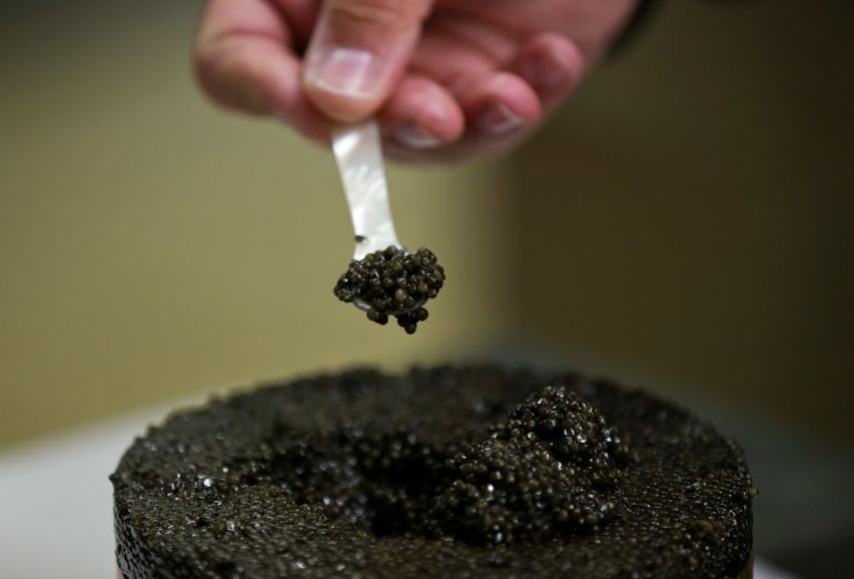 ap_6aa96219cc06f-1789485593 In this image taken on Thursday, June 10, 2016, Agro Ittica Lombarda company General Director Lelio Mondella, shows how to taste Calvisius caviar, in Calvisano. (AP Photo/Luca Bruno)